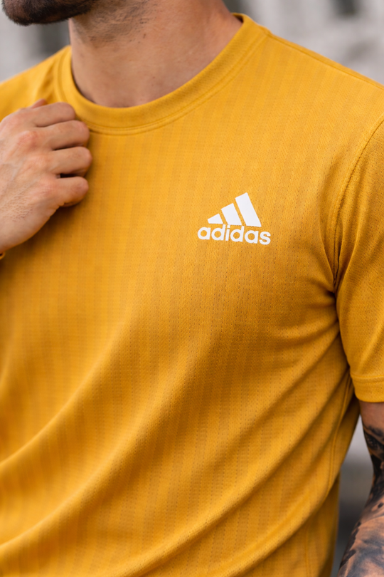 THE ALPHA TEE-YELLOW